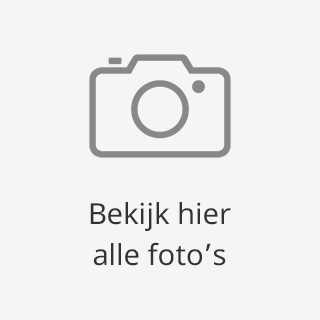 Bekijk alle foto's